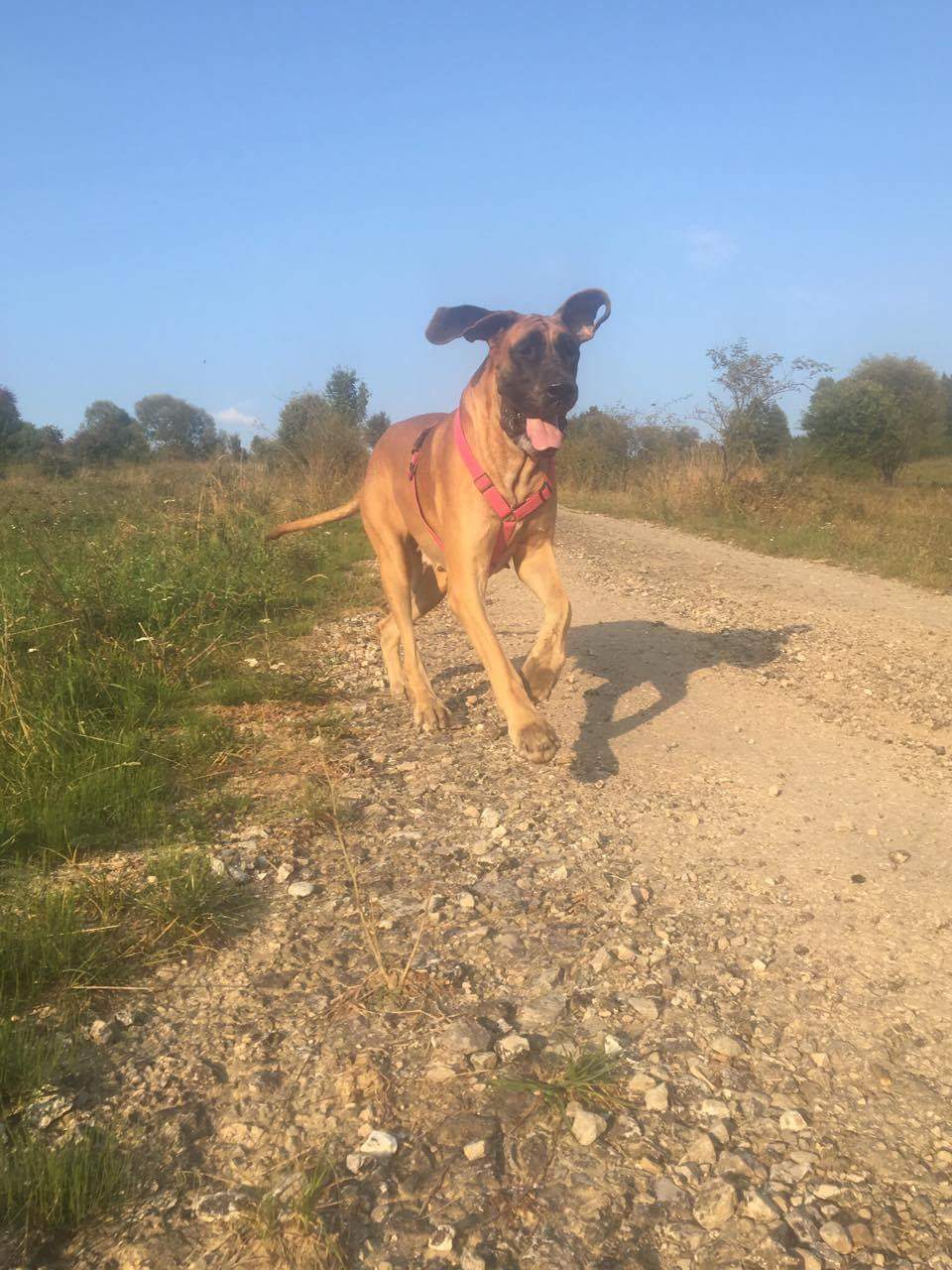 Happy jak dva grepy :)