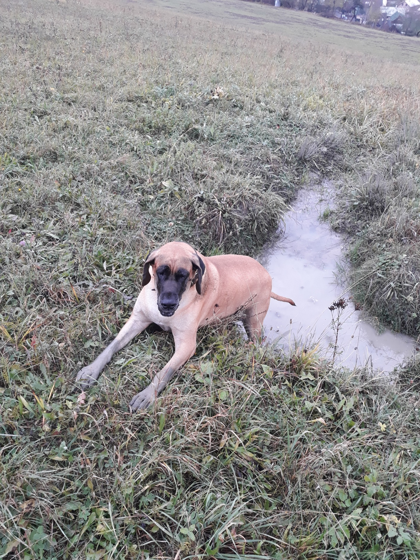 Veľká milovníčka blata. :D